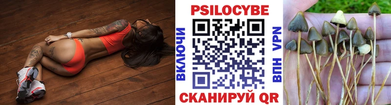 Псилоцибиновые грибы Cubensis  как найти наркотики  Облучье 